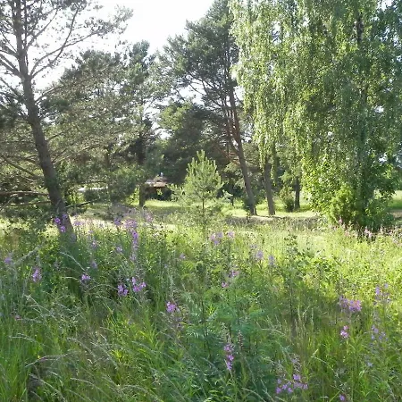 Suurekivi *