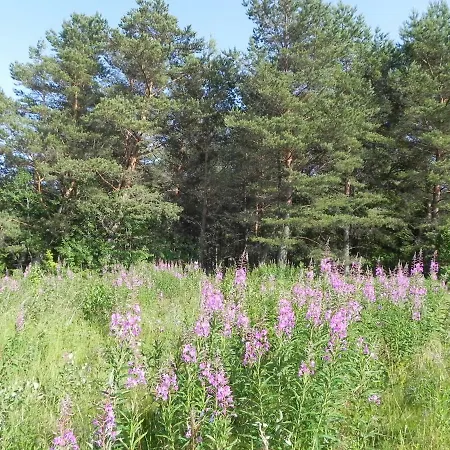 Hostal Suurekivi